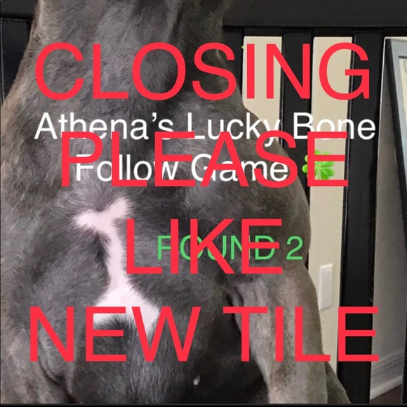 Dresses & Skirts - ALMOST 300K! PLEASE HELP xo LIKE NEW TILE ❤️ 🐶🍀